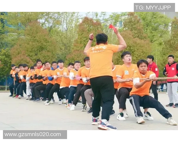 南京乒乓球队大满贯赛事中的团队协作展现与精彩点评