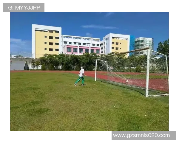 武汉足球队耐力分析与战术适应性研究探讨